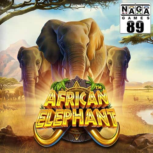 African-Elephant-Banner-min